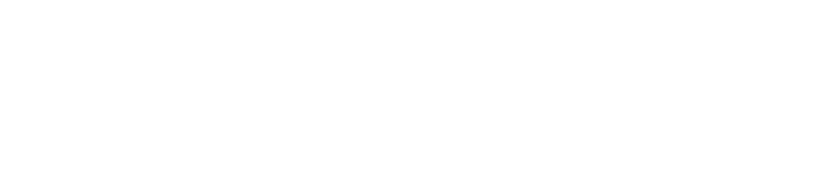 Prosopic 类颜智能科技